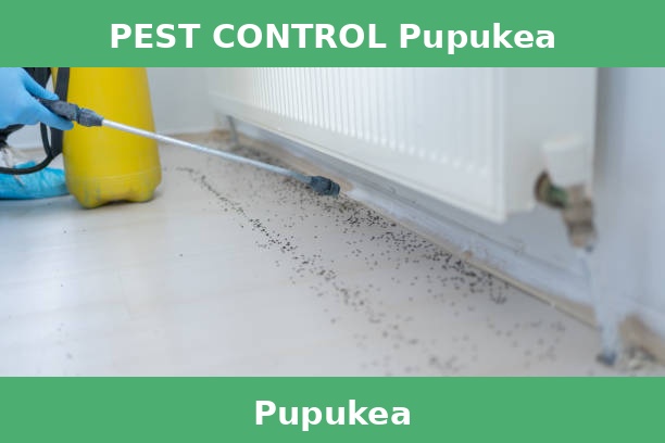 PEST CONTROL Pupukea